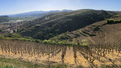 2013 Benetière Côte Rôtie 'Cordeloux' Magnums