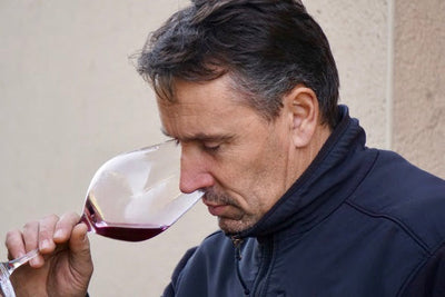 Stéphane Bernaudeau: Ultra-Rarities, Back Vintages