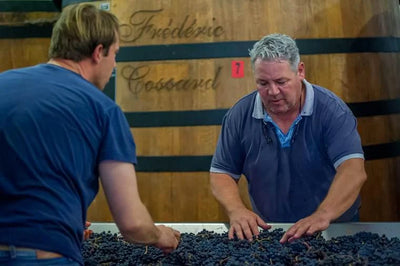 A Chassorney Swan Song: 2021 Volnay 1er Cru 'Les Lurets'